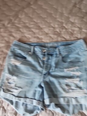 American Eagle Outfitters Light Blue Distressed Jean Shorts